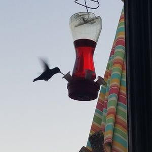 Meet your Posher, Deborha